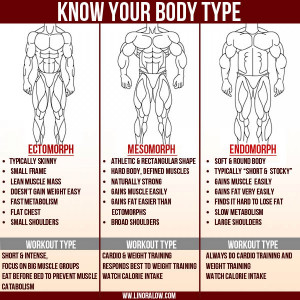 The 3 Body Types Infographic