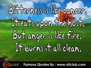 You Are Currently Browsing 15 Most Famous Anger Quotes