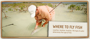 Fly Fish Fishing Gear Flies