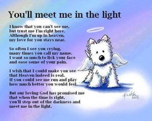 When one of our dogs passes over Rainbow Bridge, we get comfort from ...
