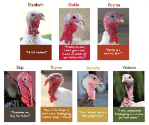 ... cool way for you to welcome turkeys into your home this Thanksgiving