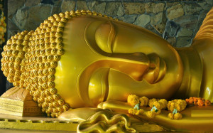 Gautama Buddha Quotes In Hindi Happy buddha purnima hd