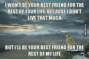 Let's Show Some Muggle Pride!