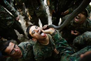 US Marines drink cobra blood during survival training