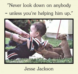 , chihuahua, cute, funny, jesse jackson, puppies, puppy, push, quote ...