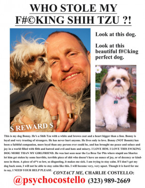 Seven Psychopaths Lost Dog Flyer