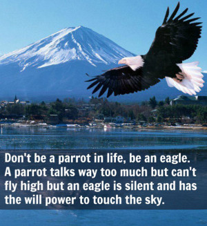 ... 300 29 kb jpeg eagles quotes http www famousquotesabout com on eagles