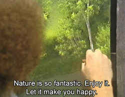 art quote painting trees green nature forest bob ross the joy of ...