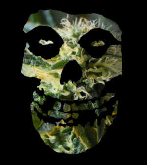 Pictures funny smoking weed quotes tags kushandwizdom high kush