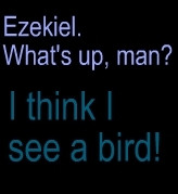 Total Drama Island Quotes