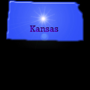 start your quotes here u s zip code type of insurance auto insurance ...