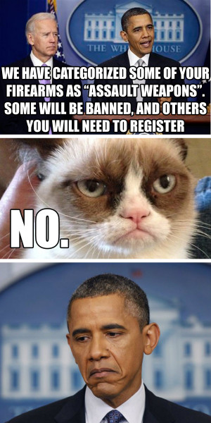 Grumpy Cat Obama Has Spoken