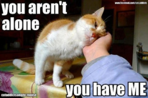 ... Best & Selective Quotes for You for best quotes