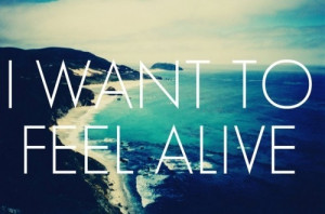 alive, i want to feel alive, life, photography, quote, typography ...