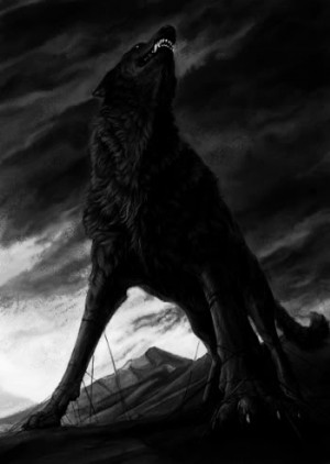 wolfpath he is as black as minapersa palace with no moon but with a ...