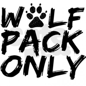 Another Video Quotes From The Hangover Wolf Pack