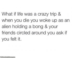 Life is a crazy trip