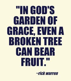 ... , even a broken tree can bear fruit. --Rick warren ~ quotes & wisdom