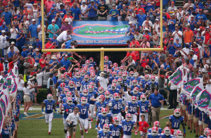 gators gators gators gators gators gators gators gators gators gators ...