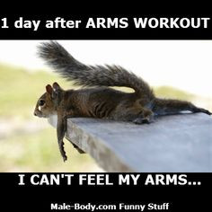 SORE ARMS the next Day of Arms Workout... #funny #fitness #funnypic # ...