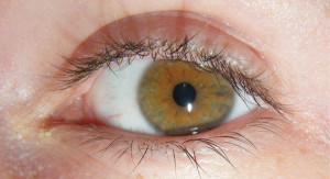 eyes official video 640 x 480 21 kb jpeg behind these hazel eyes ...