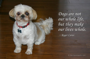Dogs are not our whole life, but they make our lives whole. ~ Roger ...