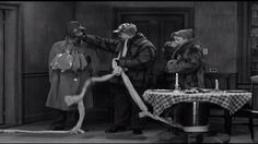 the honeymooners tv show please leave the premises honeymoon tv ...