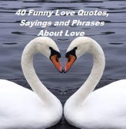 40 Funny Love Quotes, Sayings and Phrases about Love