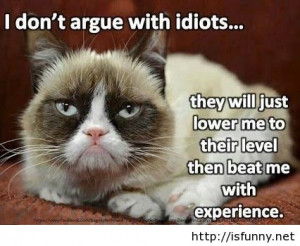 Grumpy cat 2014 2015 dont argue with idiots funny picture