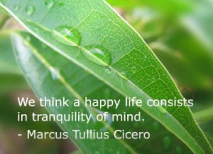 More Quotes Pictures Under: Happiness Quotes