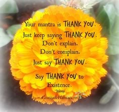 THANK YOU FOR YOUR KINDNESS QUOTES