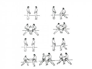 Karate Shotokan Ryu Kata Kumite