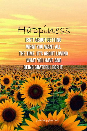 Happiness Quote: Happiness isn’t about getting what you want all the ...