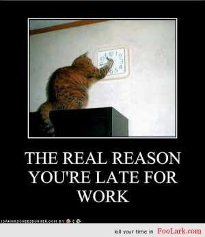 games, flash, jokes. funny animal Pictures, funny animal Images, funny ...