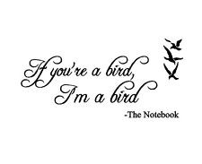 If you’re a bird… I’m a bird…