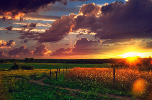 Country Pictures Sunset french country by