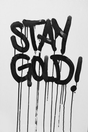 gold the outsiders novel saying quotes quote things i love sayings ...