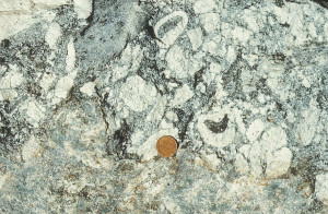 Intrusive Igneous Rocks