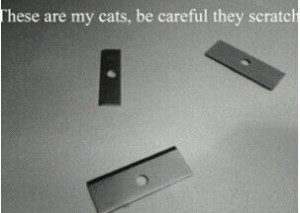 quote #emo #selfharm #cut #razors #true #cat #scratch