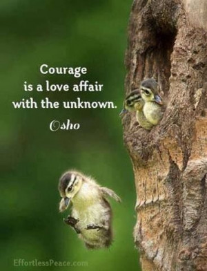 Quote courage