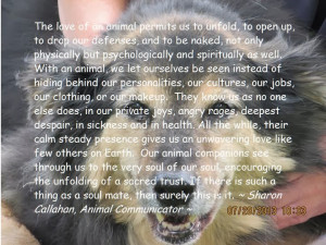 Monday, December 30, 2013