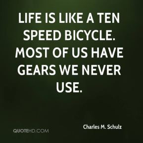 life is like a 10 speed bicycle most of us have gears we never use