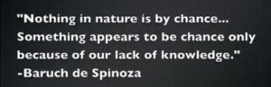 Nothing in nature happens by chance... | Spinoza