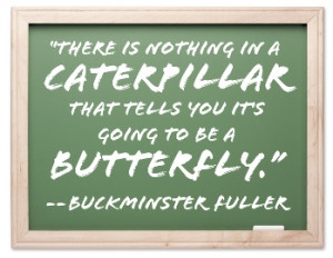 There is nothing in a caterpillar that tells you it's going to be a ...