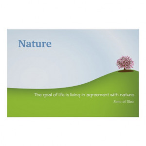 Nature Quote - Zeno of Elea Print