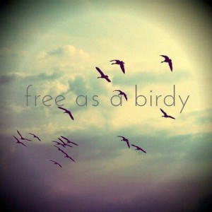 Free as a bird #quote