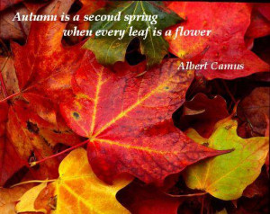 Inspirational Quotes for Autumn!