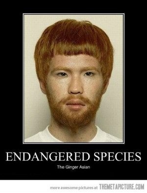 Funny photos funny Asian ginger weird