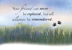 animal quotes pet loss sympathy cards download