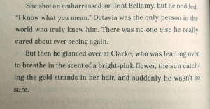 Bellarke - Bellamy Blake & Clarke Griffin in the book #the100